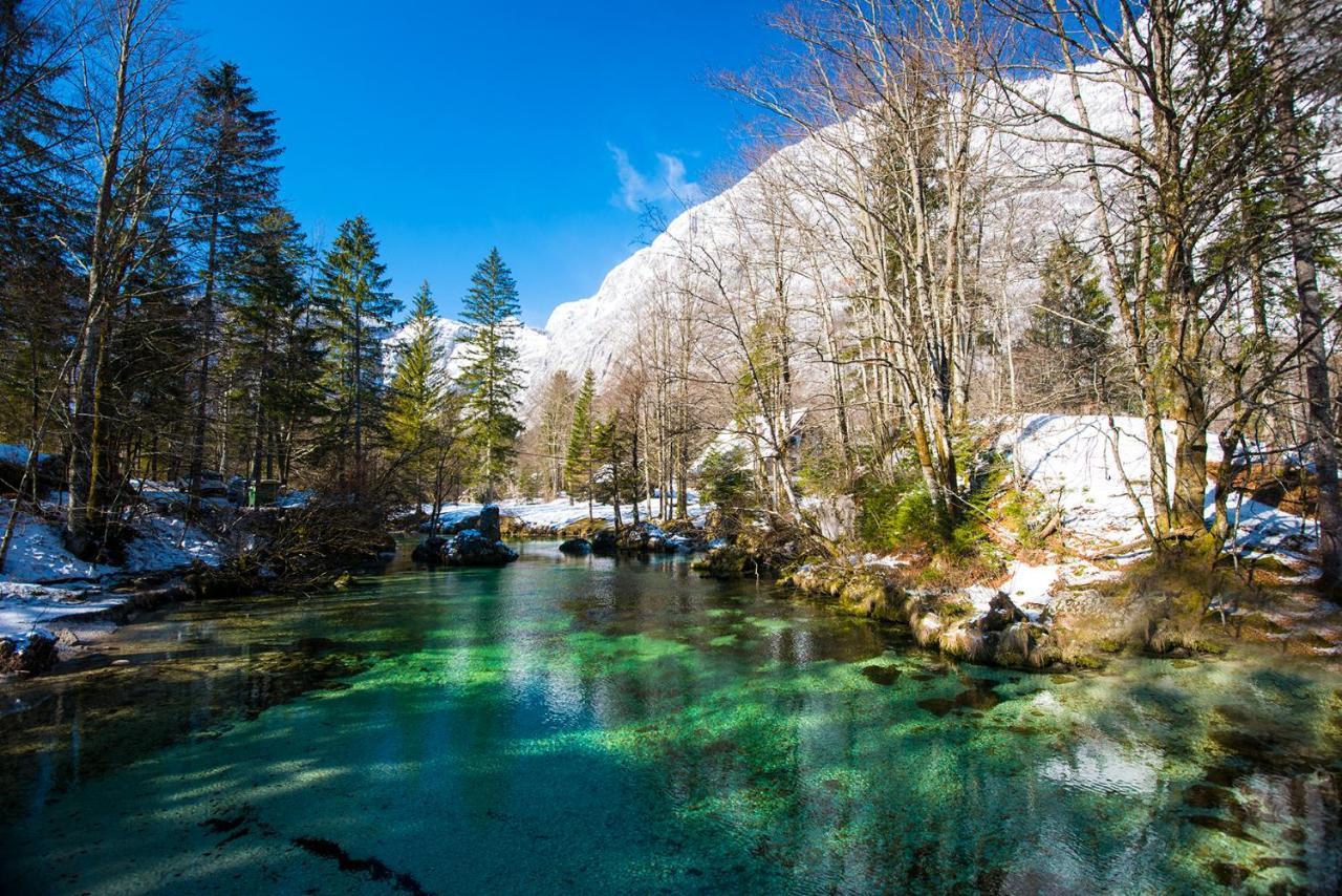 Hotel Zotlar House Bohinj Exteriér fotografie