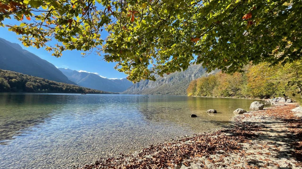 Hotel Zotlar House Bohinj Exteriér fotografie